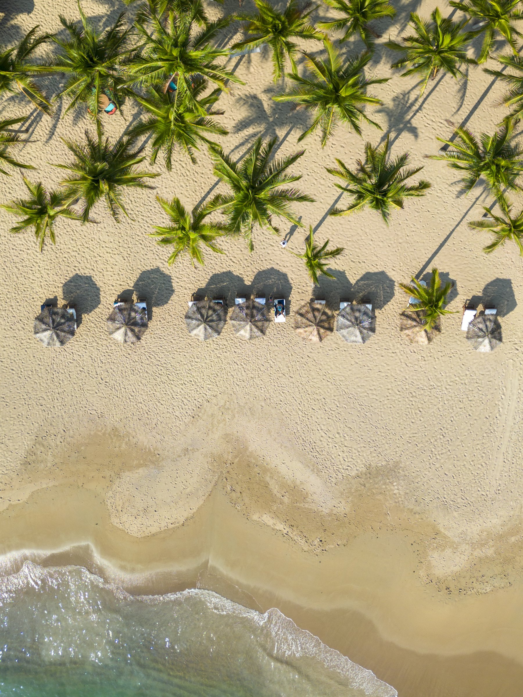 Beach Palapas